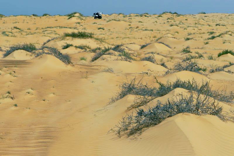 Mauritania